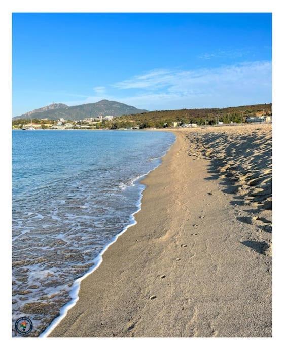 Lumineux Et Cosy F3 Vue Mer Ajaccio  Kültér fotó